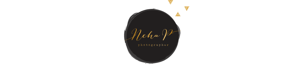 Houston, Pearland, Friendswood, The Heights, River Oaks, West Univeristy Place, Memorial,  TX Portrait, Family, Maternity, Children and Wedding Photographer | Neha Patel Photography logo